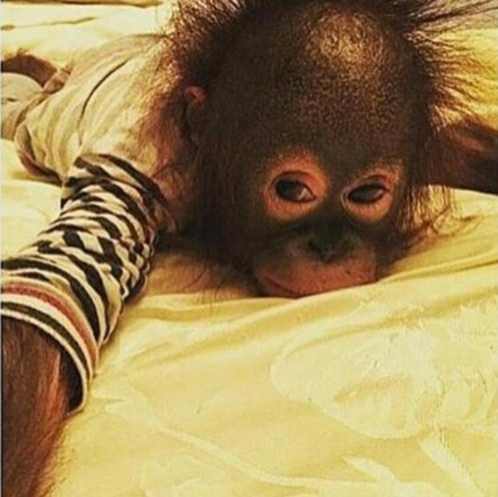 Meet your Posher, Charley